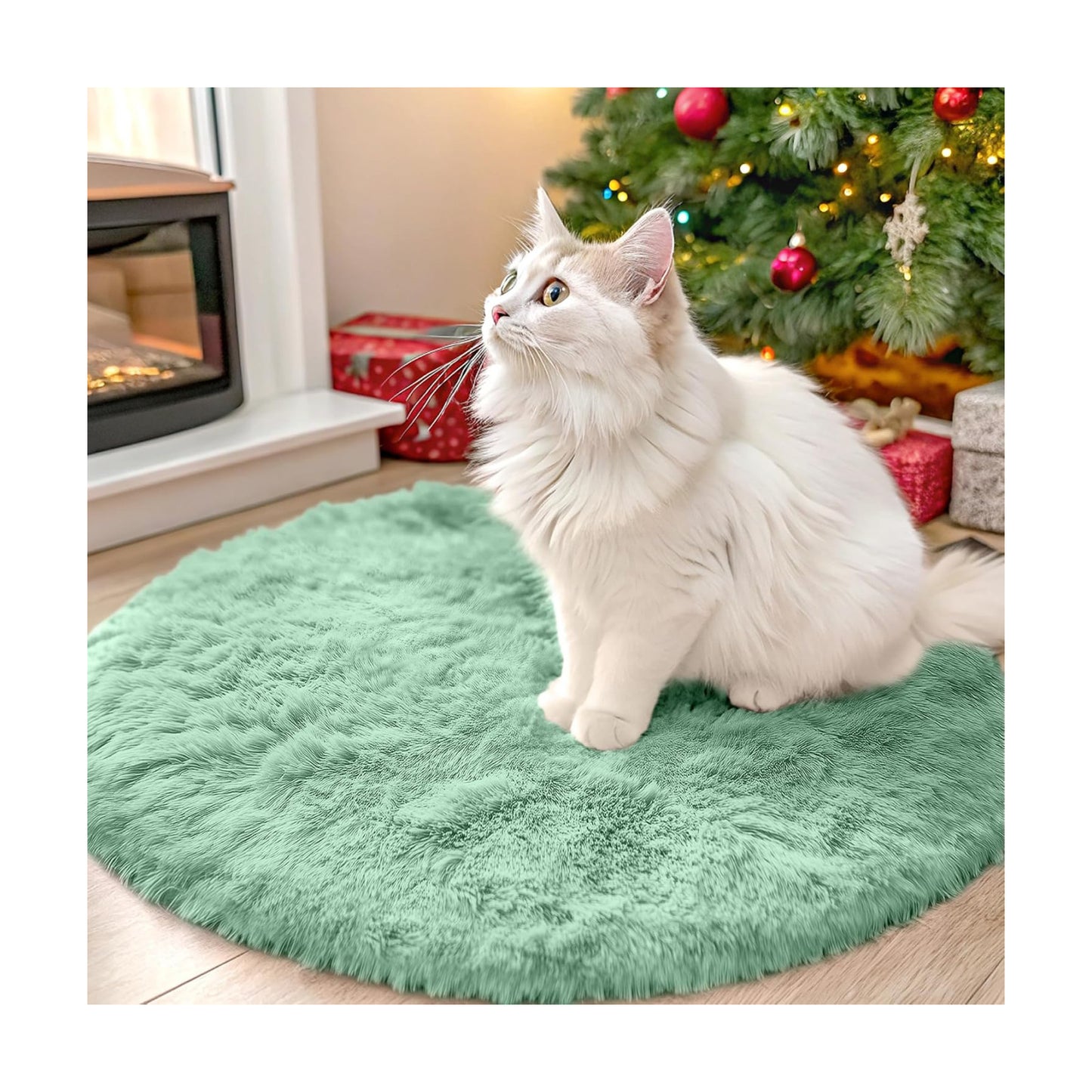 OLANLY Mint Green Round Rugs for Bedroom - Machine Washable, 2 ft Circle Area Rugs for Living Room, Soft and Fluffy
