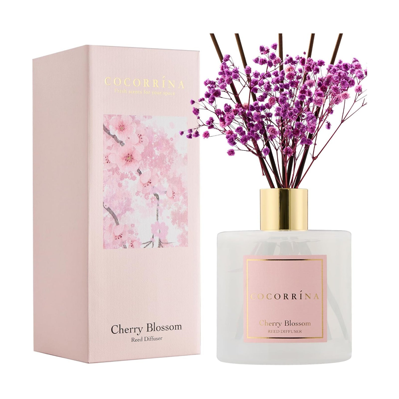 COCORRÍNA Reed Diffuser - Cherry Blossom 17 Fl.oz Reed Diffuser with 8 Sticks Scented Diffuser with Preserved Flowers