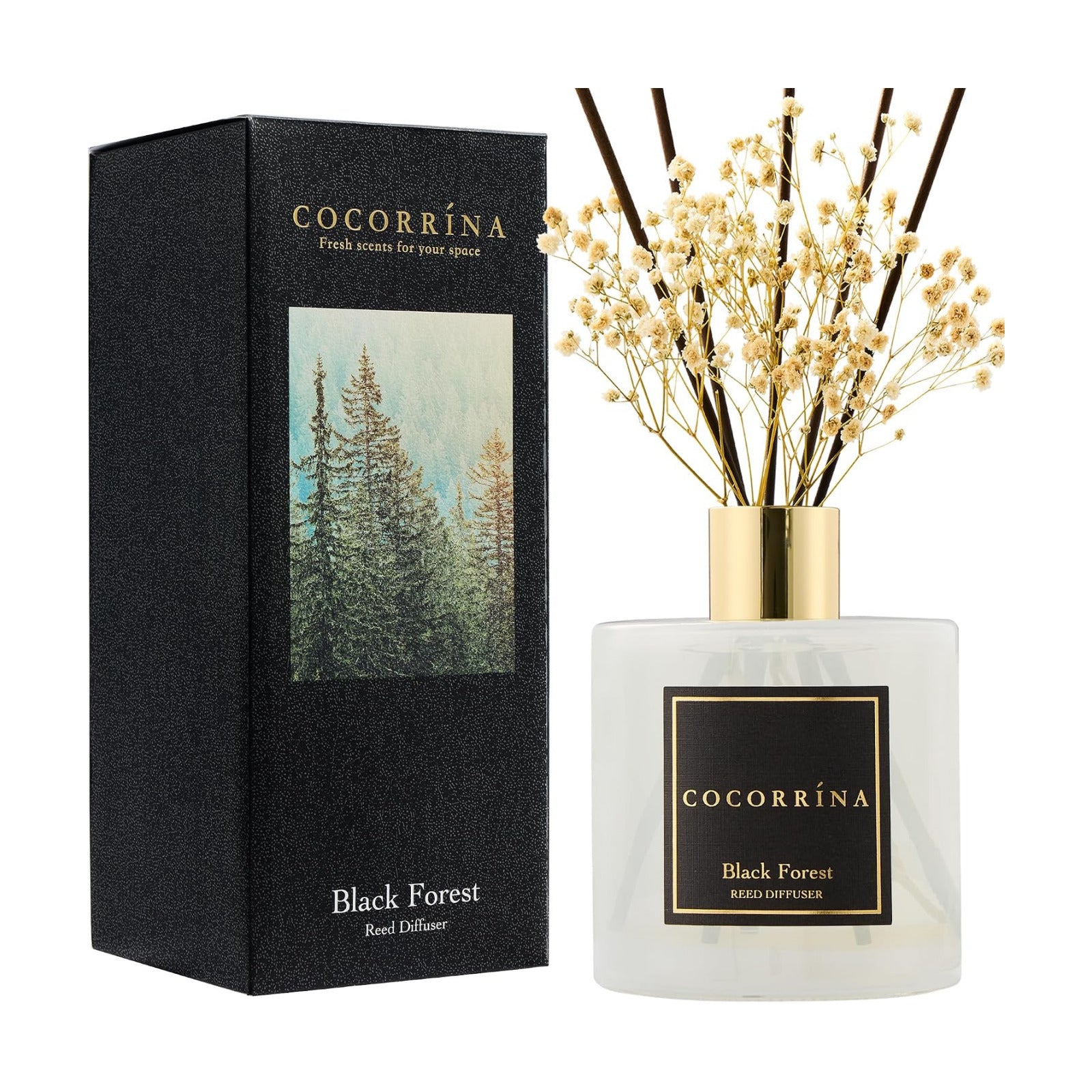 COCORRÍNA Reed Diffuser - Black Forest 17 Fl.oz Reed Diffuser with 8 Sticks Scented Diffuser with Preserved Flowers for