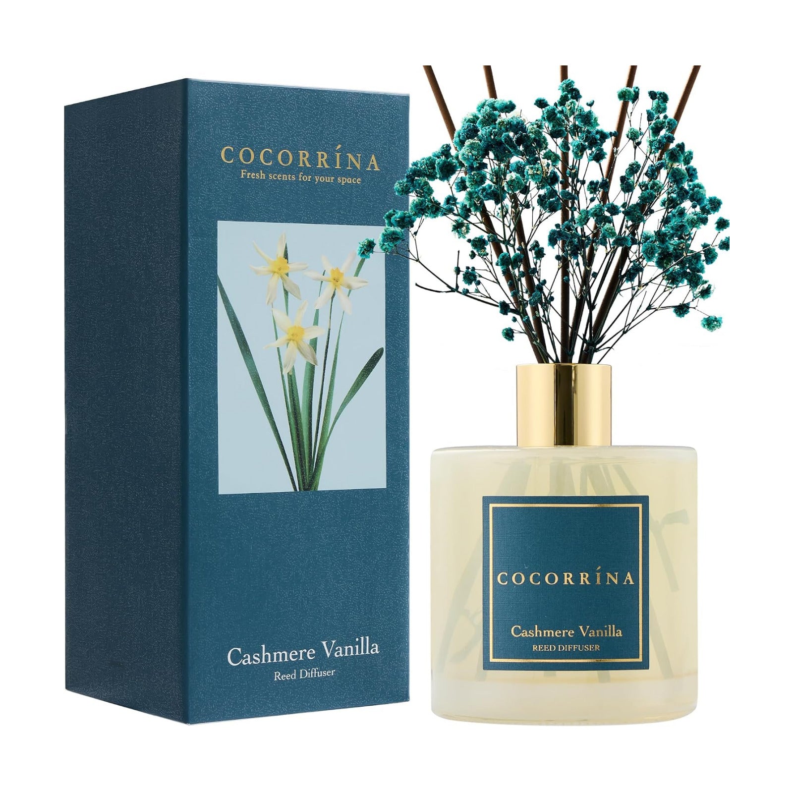 COCORRÍNA Reed Diffuser - Cashmere Vanilla 17 Fl.oz Reed Diffuser with 8 Sticks Scented Diffuser with Preserved Flowers