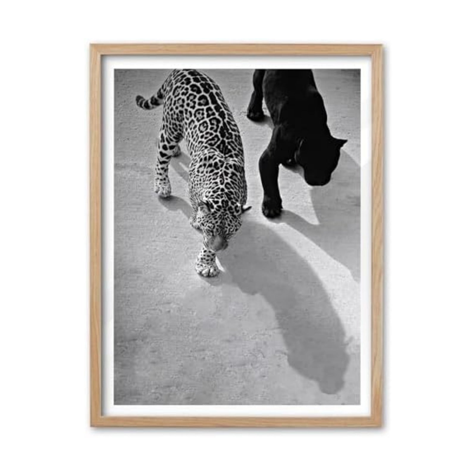 EcoHest 12x16 in Cheetah and Jaguar Walking Framed Wall Art