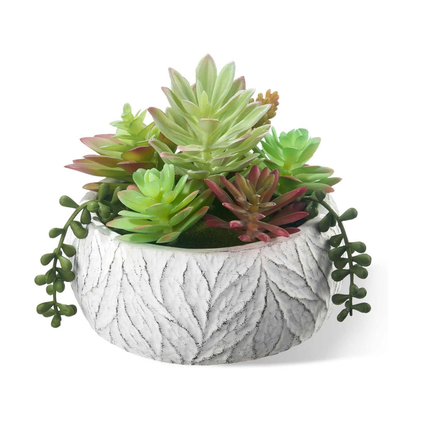 Artificial Succulent Plant in Ceramic Pot / 6inch / White