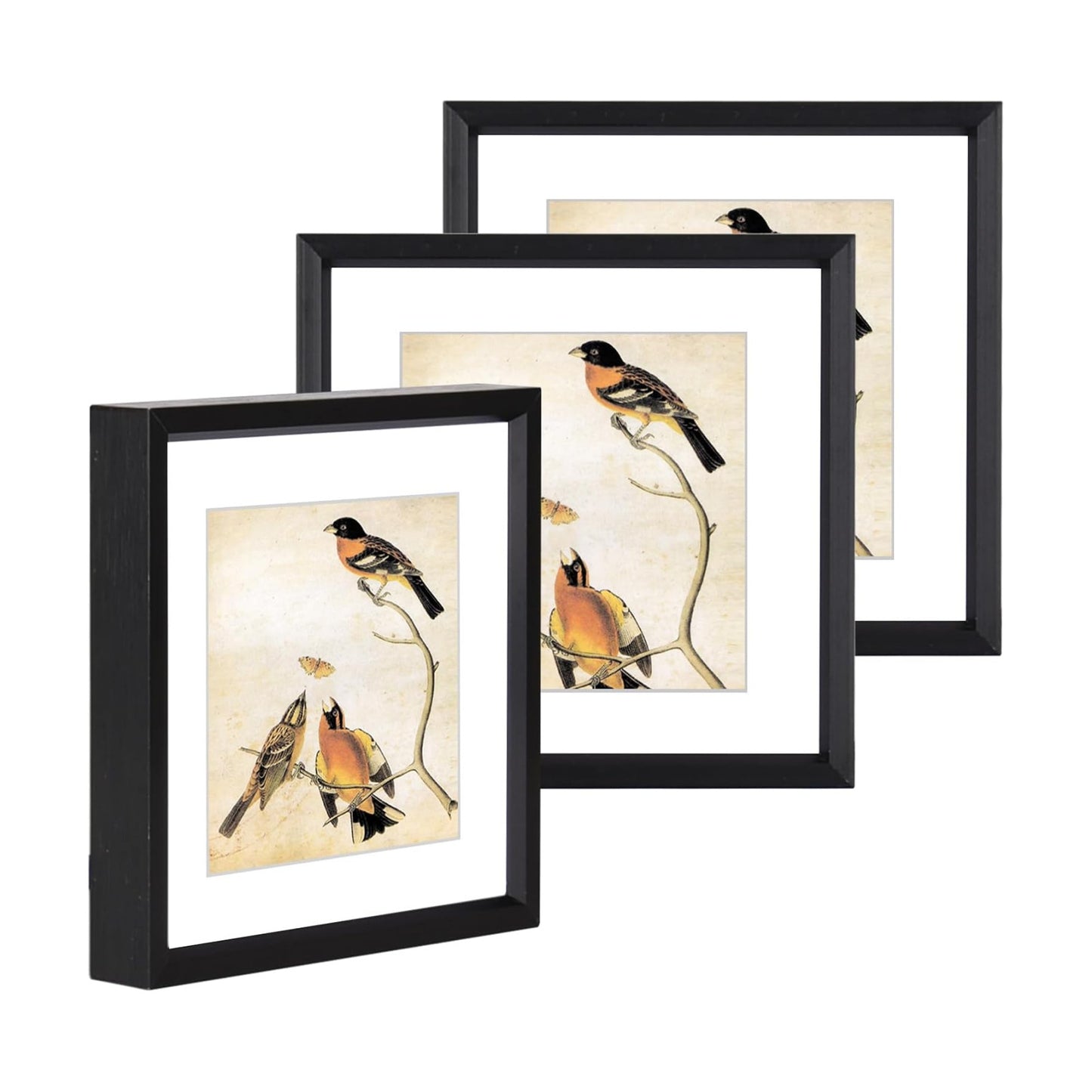 BKABOT 4x4 Black Metal Photo frames 3 Pack HD Glass Mat 3x3 Wall Table | Brushed aluminum Picture frames,removable