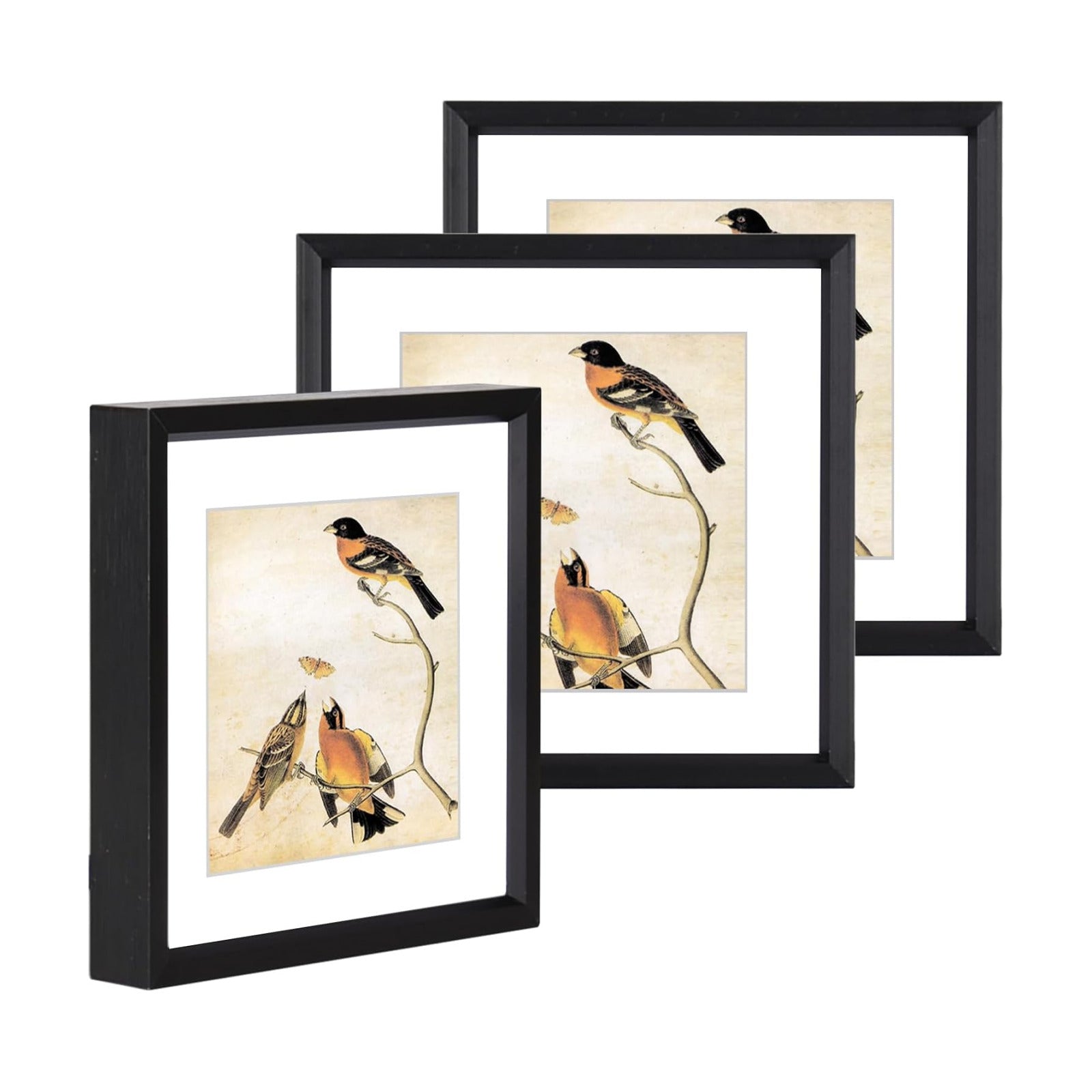 BKABOT 4x4 Black Metal Photo frames 3 Pack HD Glass Mat 3x3 Wall Table | Brushed aluminum Picture frames,removable
