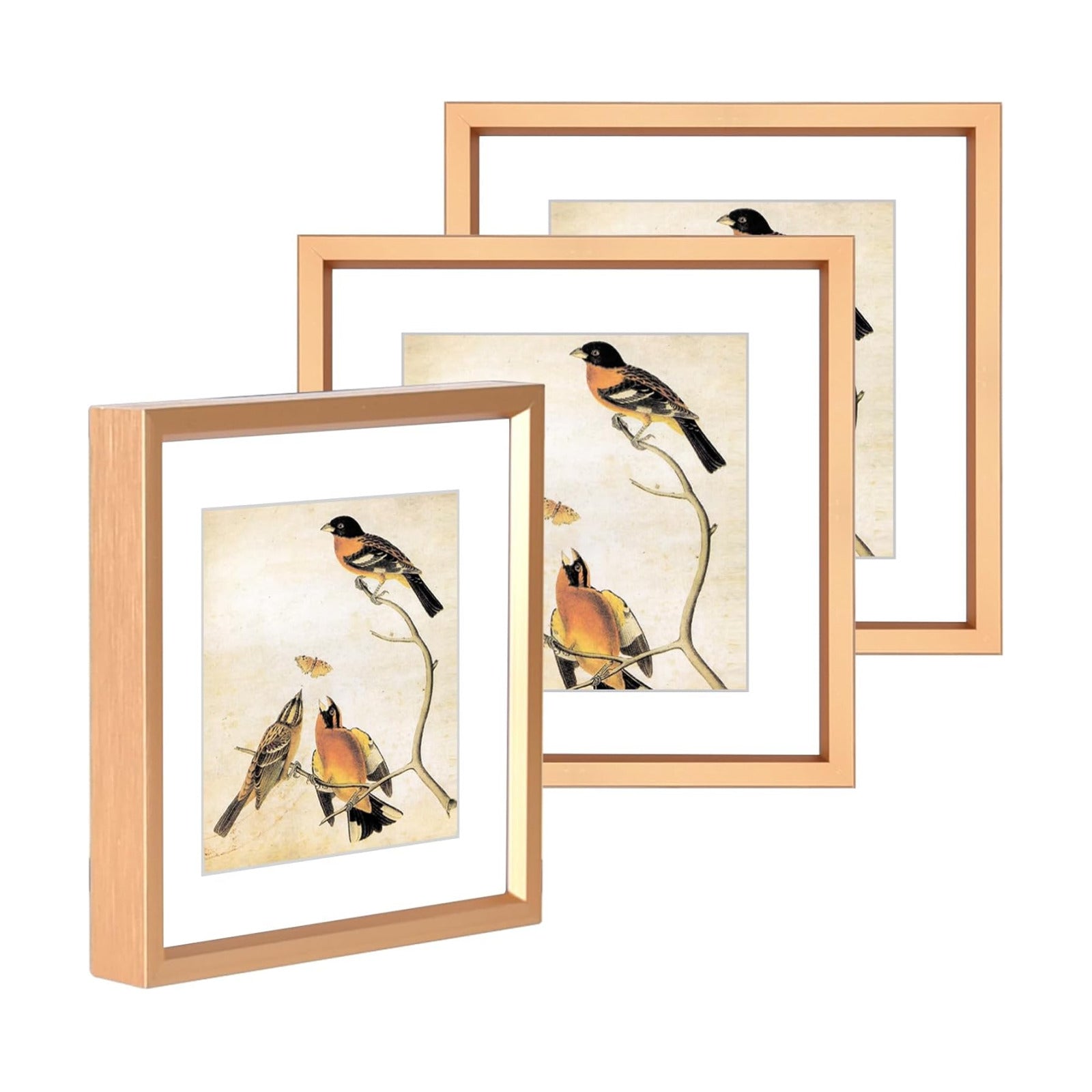 BKABOT 5x5 Gold Metal Photo frames 3 Pack HD Glass Mat 4x4 Wall Table | Brushed aluminum Picture frames,removable