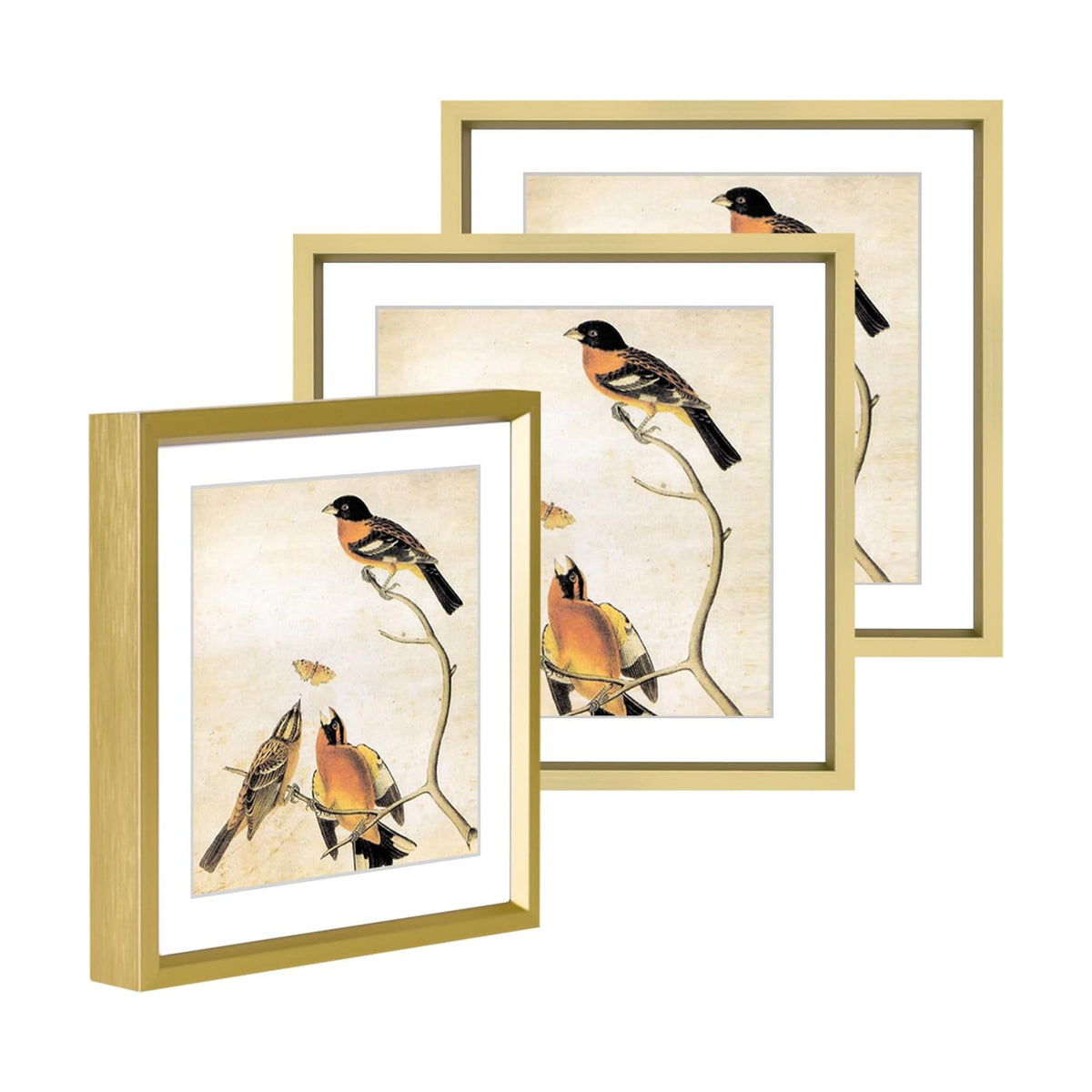BKABOT 6x6 Brass Metal Photo frames 3 Pack HD Glass Mat 5x5 Wall Table | Brushed aluminum Picture frames,removable