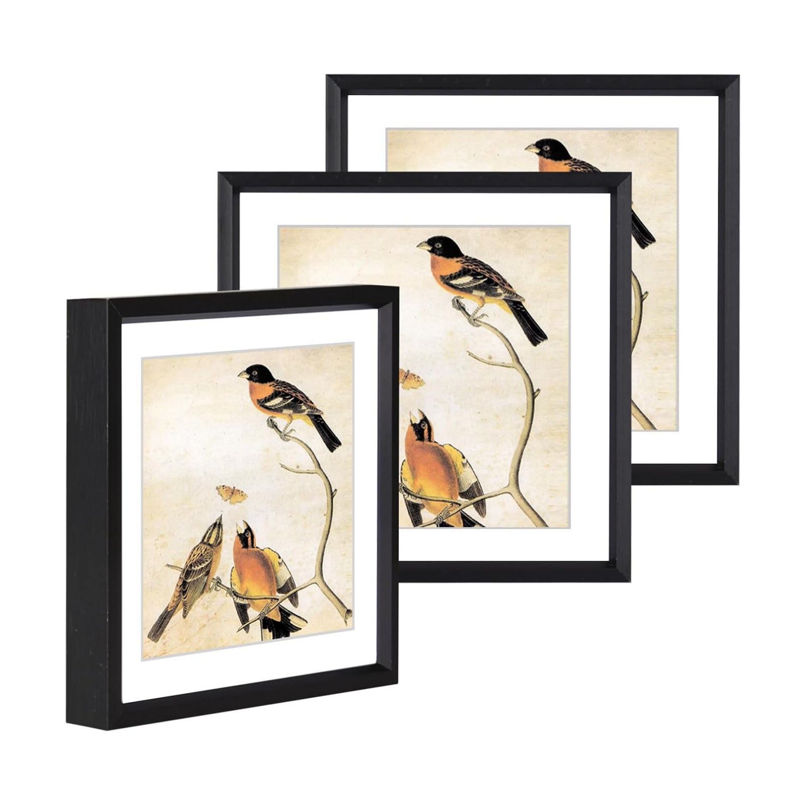 BKABOT 6x6 Black Metal Photo frames 3 Pack HD Glass Mat 5x5 Wall Table | Thin brushed aluminum Picture frames,removable