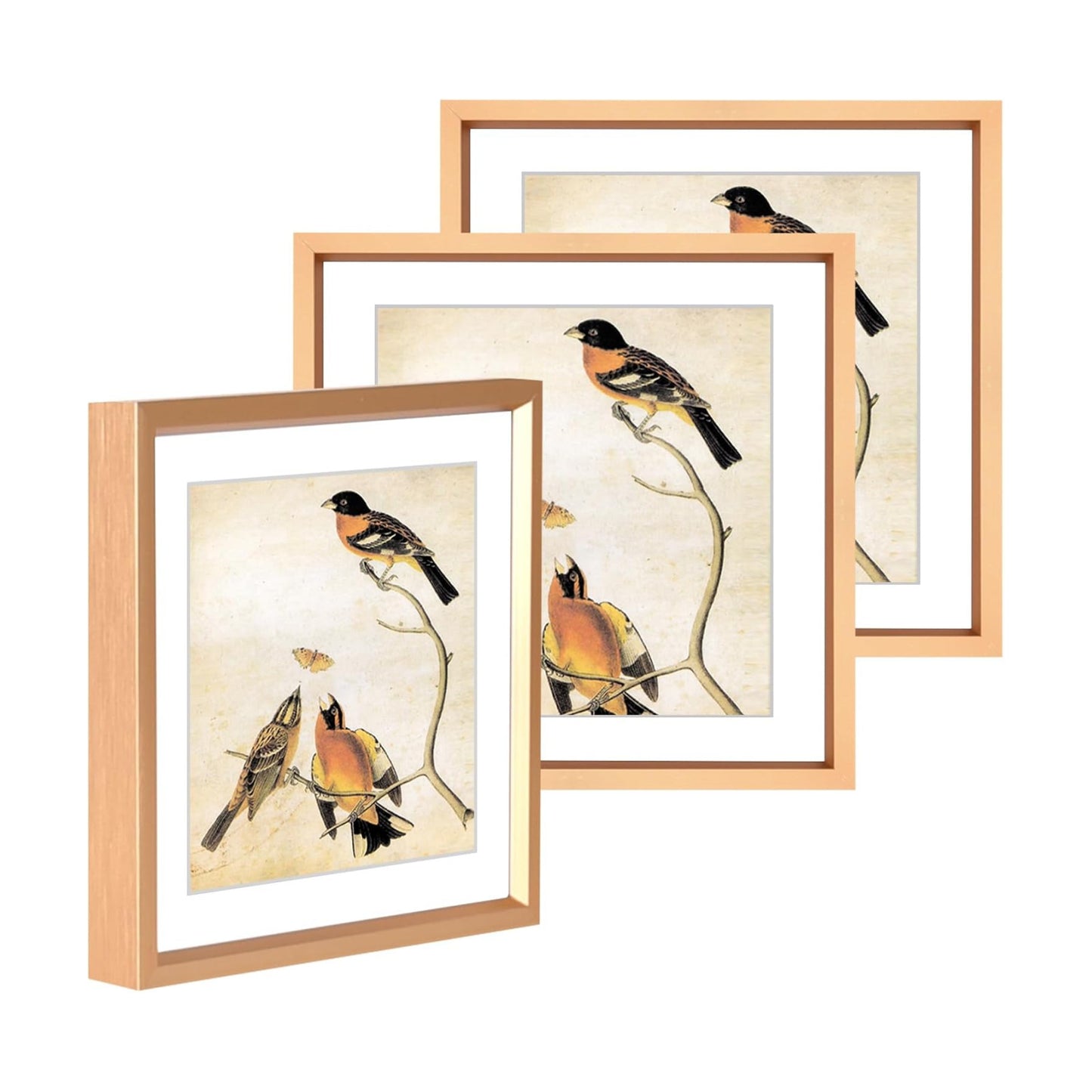 BKABOT 6x6 Gold Metal Photo frames 3 Pack HD Glass Mat 5x5 Wall Table | Brushed aluminum Picture frames,removable