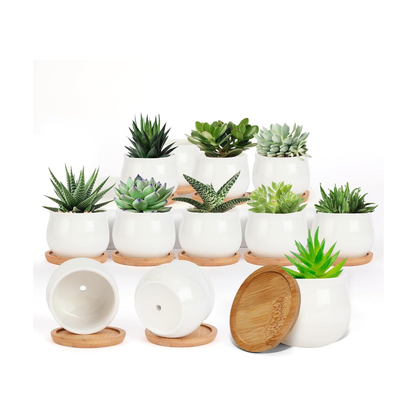 Ceramic Flower Planter Pot / White Mini / 2.5 Inch / Set of 12