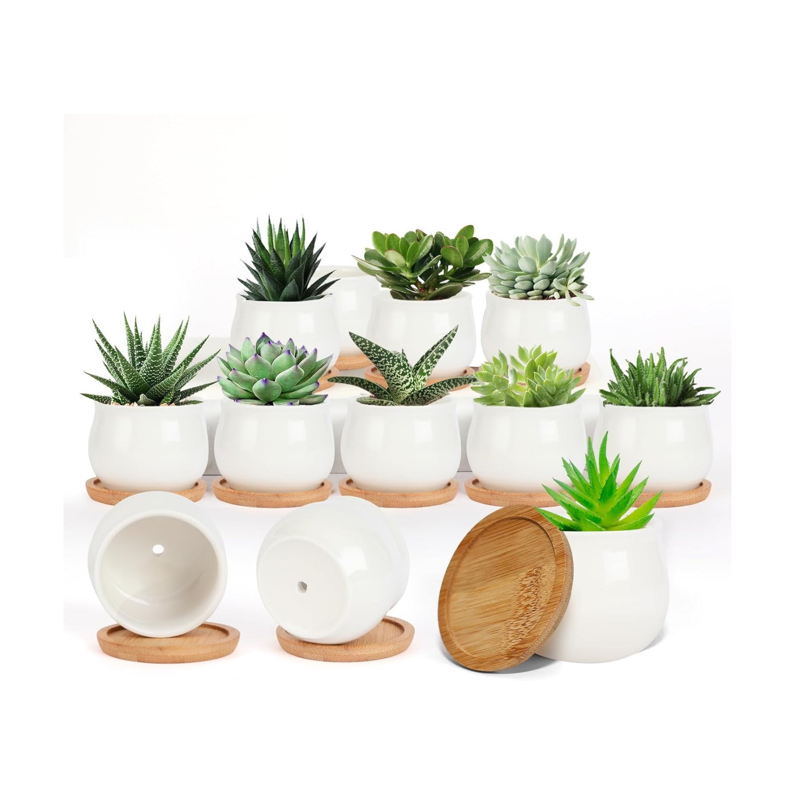 Ceramic Flower Planter Pot / White Mini / 2.5 Inch / Set of 12