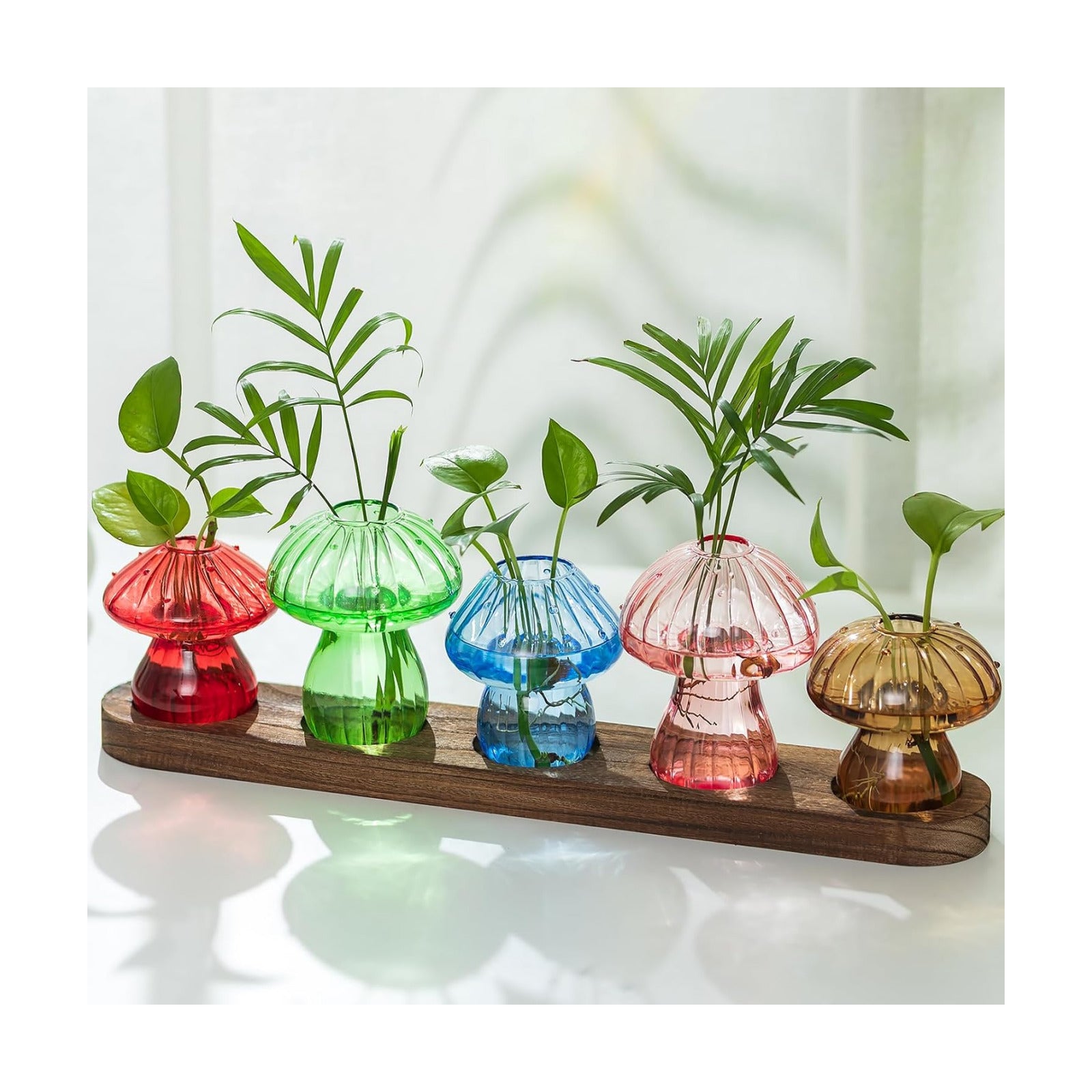 Wooden Stand / Glass Propagation Station for Plant / Colored / Set of 5