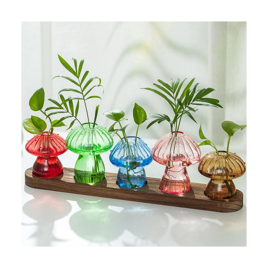 Wooden Stand / Glass Propagation Station for Plant / Colored / Set of 5