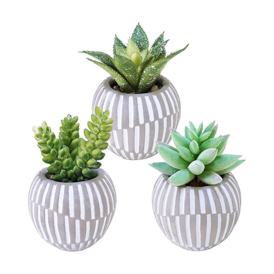 Artificial Succulents Plants in Mini Gray and White Geometric Cement Pots / Gray Pots / Set of 3