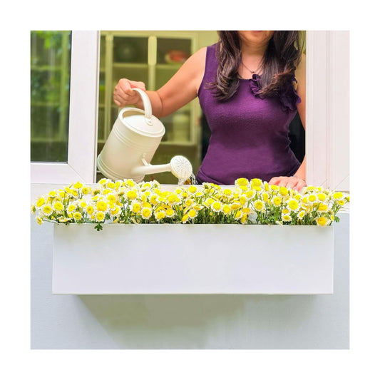 LaLaGreen Wall Planter Carbon Steel Metal Hanging Flower Pot / 24 x 2 / 24" x / White / Set of 2
