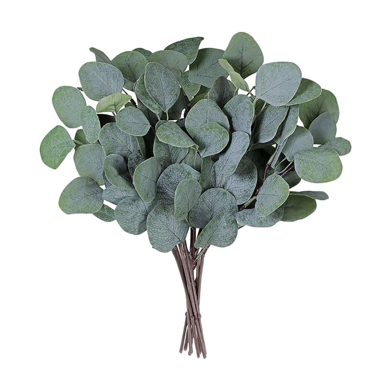 Artificial Eucalyptus Leaves Stems Silver Dollar Artificial Flowers Faux / Green / Set of 20