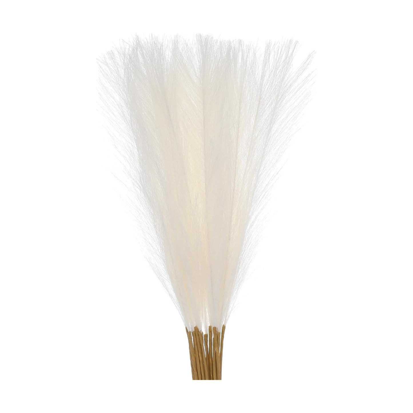 Faux Pampas Grass / Set of 18