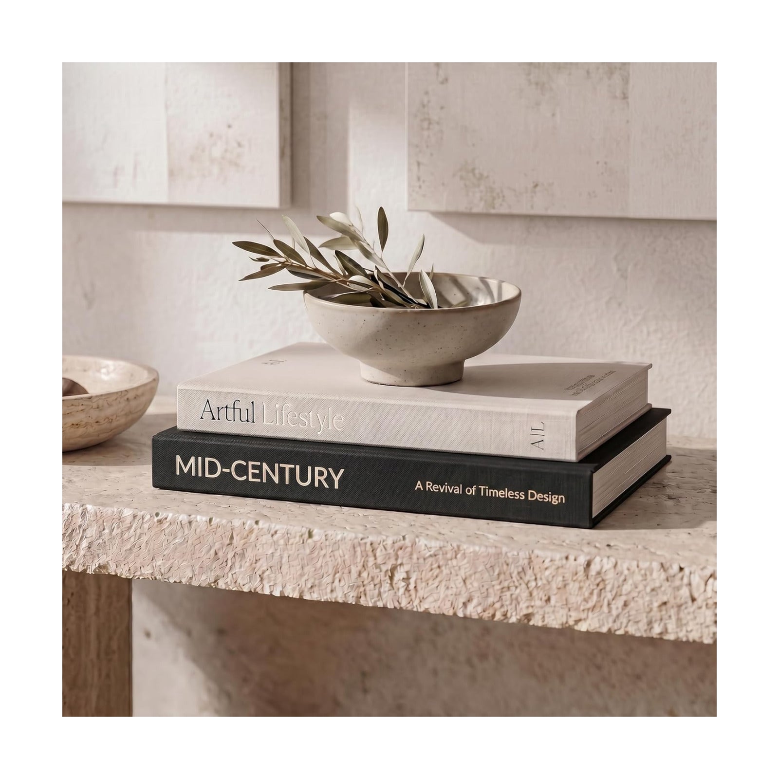Aesthetic Decorative Books / Black-beige / Set of 2