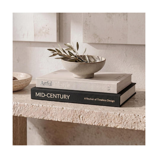 Aesthetic Decorative Books / Black-beige / Set of 2