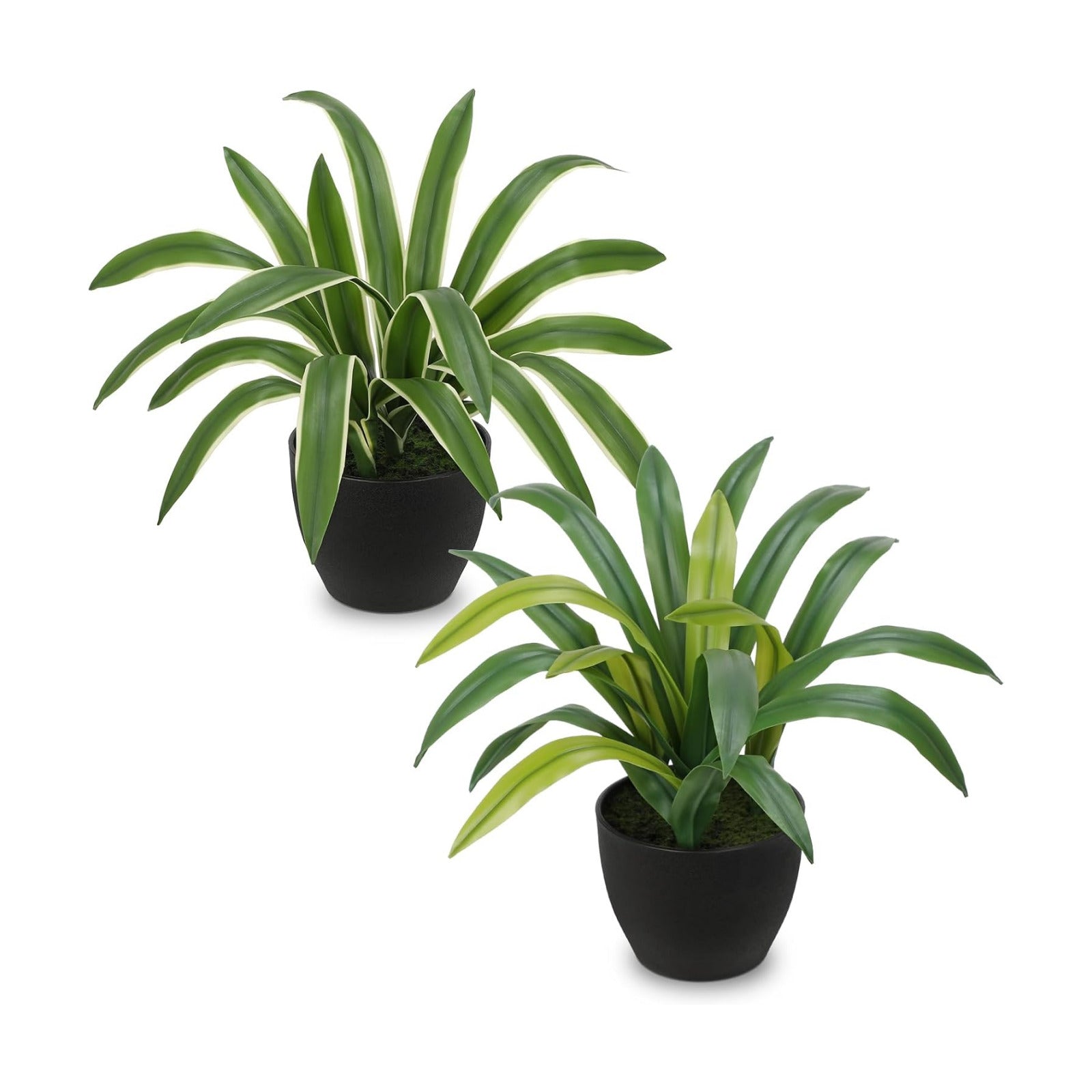 Artificial Cymbidium Leaves Plants 13.7" Fake Spiked Agave Plant in Black / Green+yellow / Set of 2