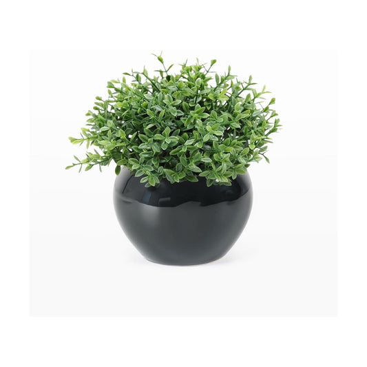 Small Artificial Succulents Grass Desk Plant / Black1