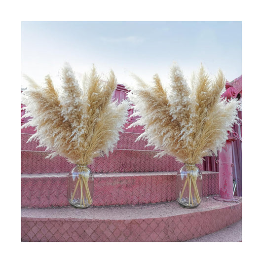 Floor Plants / Tall Pampas Grass for Floor Vases / Set of 40