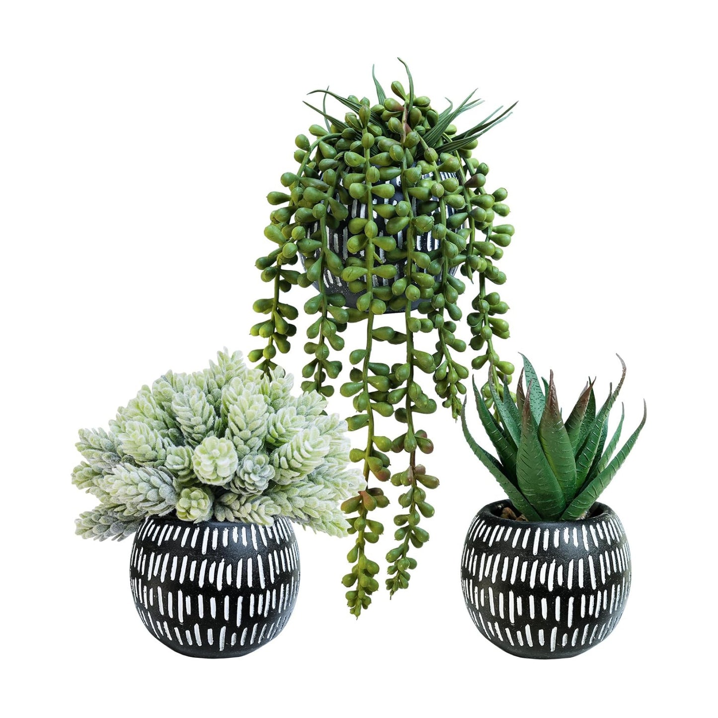 Small Artificial Succulent Potted Plants Faux Aloe Hops Hanging Succulent / Black Pot / Set of 3