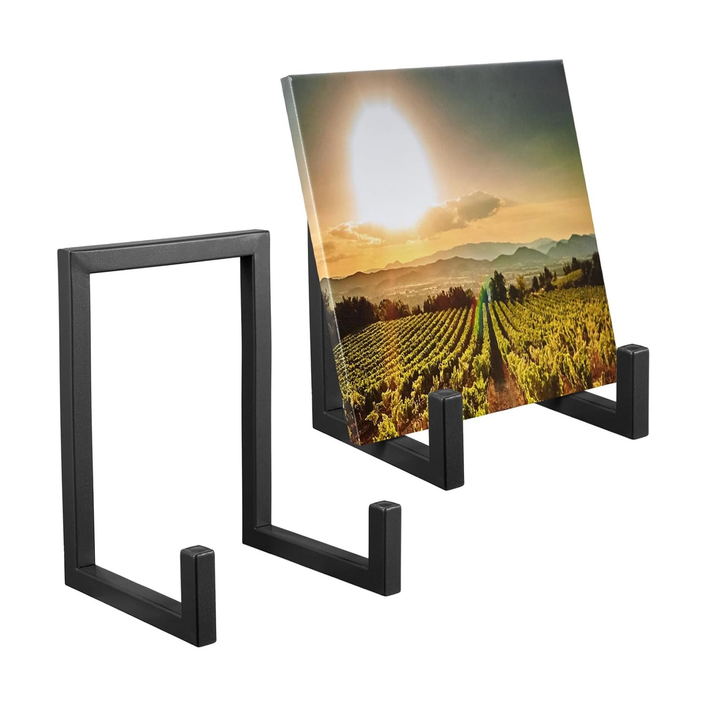 2 Pcs Large Plate Stands for Display Metal Frame Plate Holder Display Stand Decorative Table Top Easels for Picture