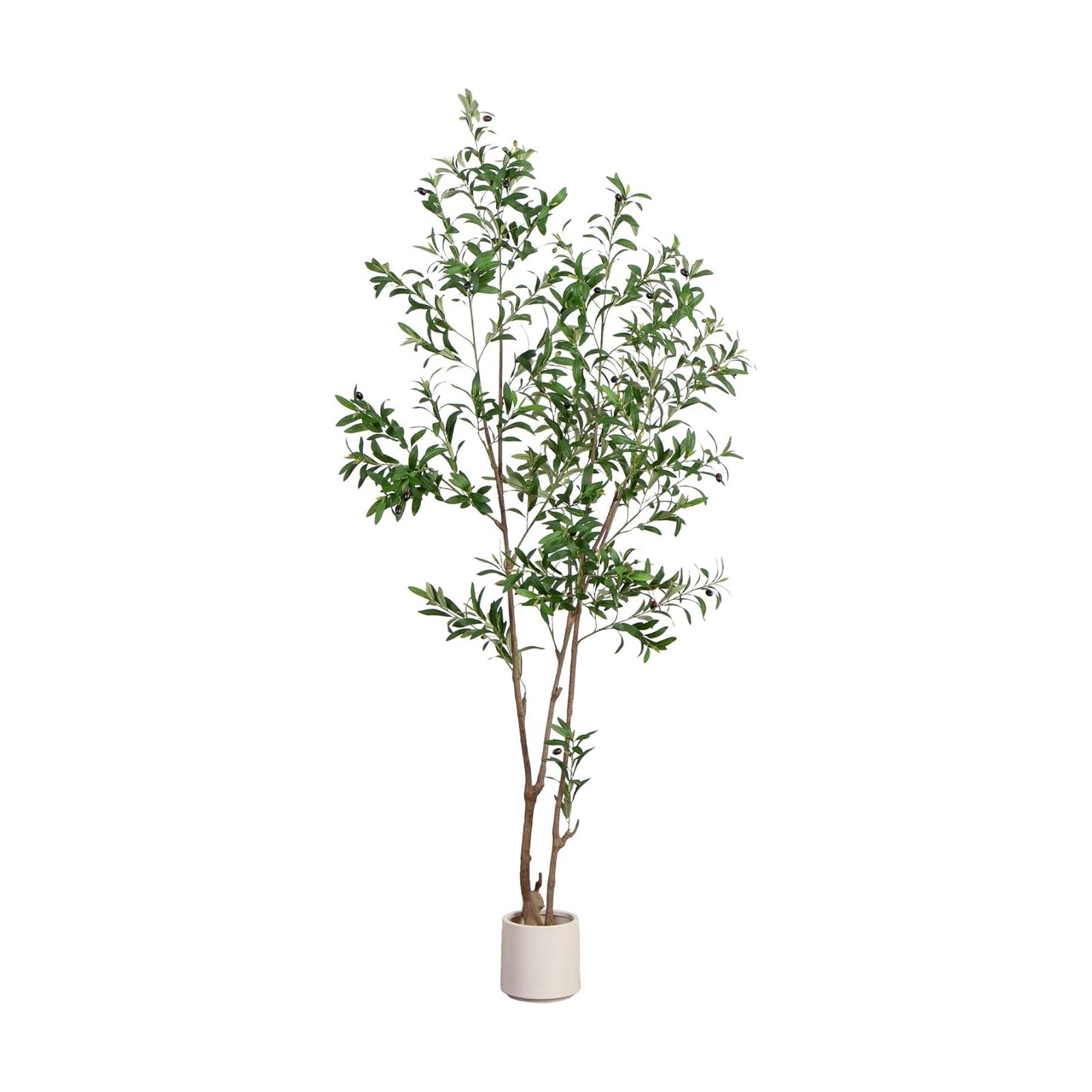 Minimalist Faux Olive Plant / 7 Inch