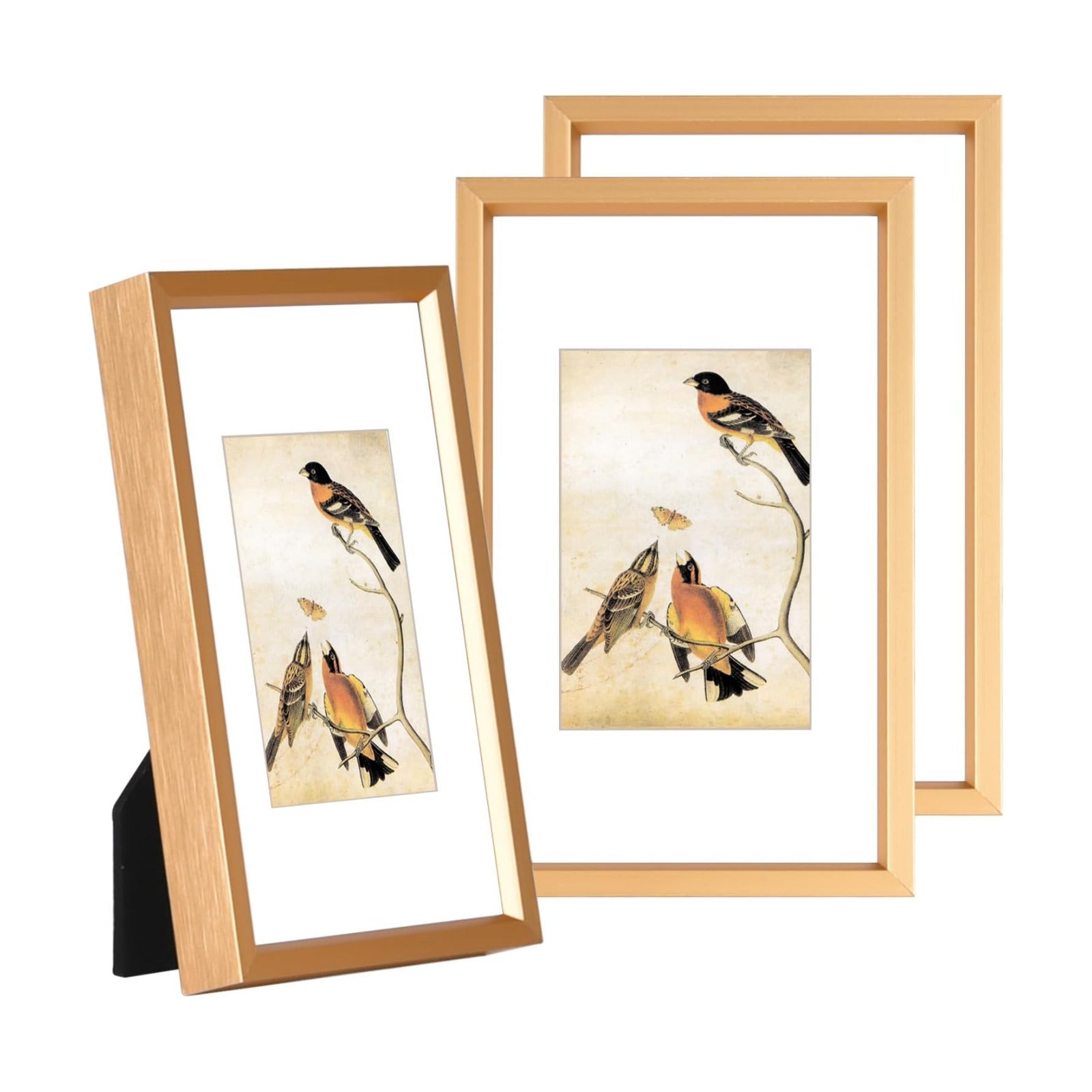 BKABOT 3x5 Gold Aluminum Photo frames 3 Pack HD Glass Mat 2x3 Wall Table | Brushed aluminum Picture frames,removable