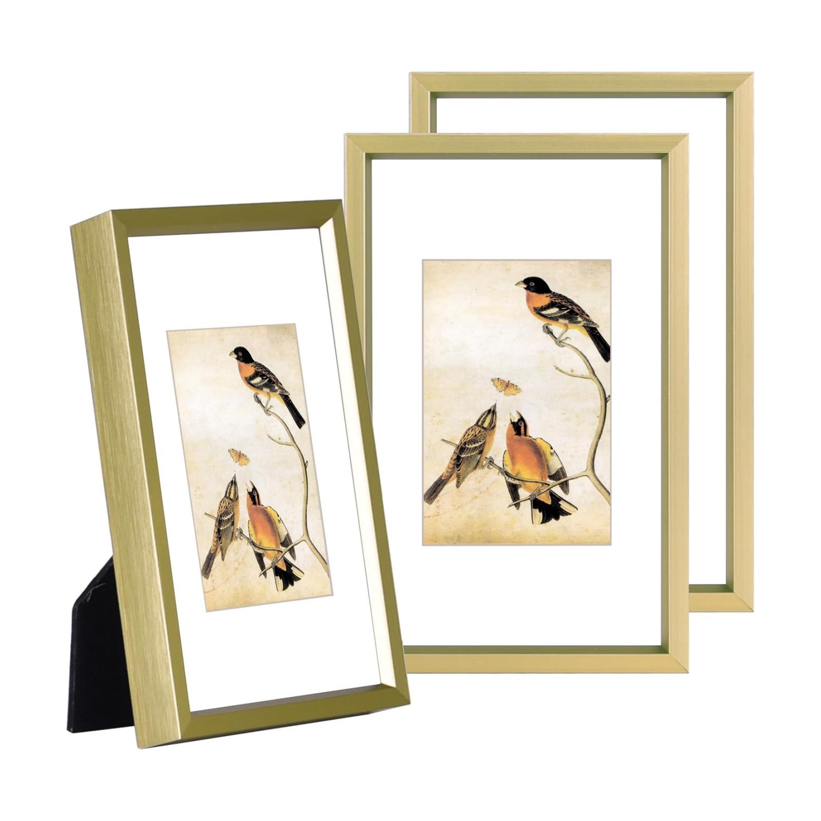 BKABOT 3x5 Brass Aluminum Photo frames 3 Pack HD Glass Mat 2x3 Wall Table | Brushed aluminum Picture frames,removable