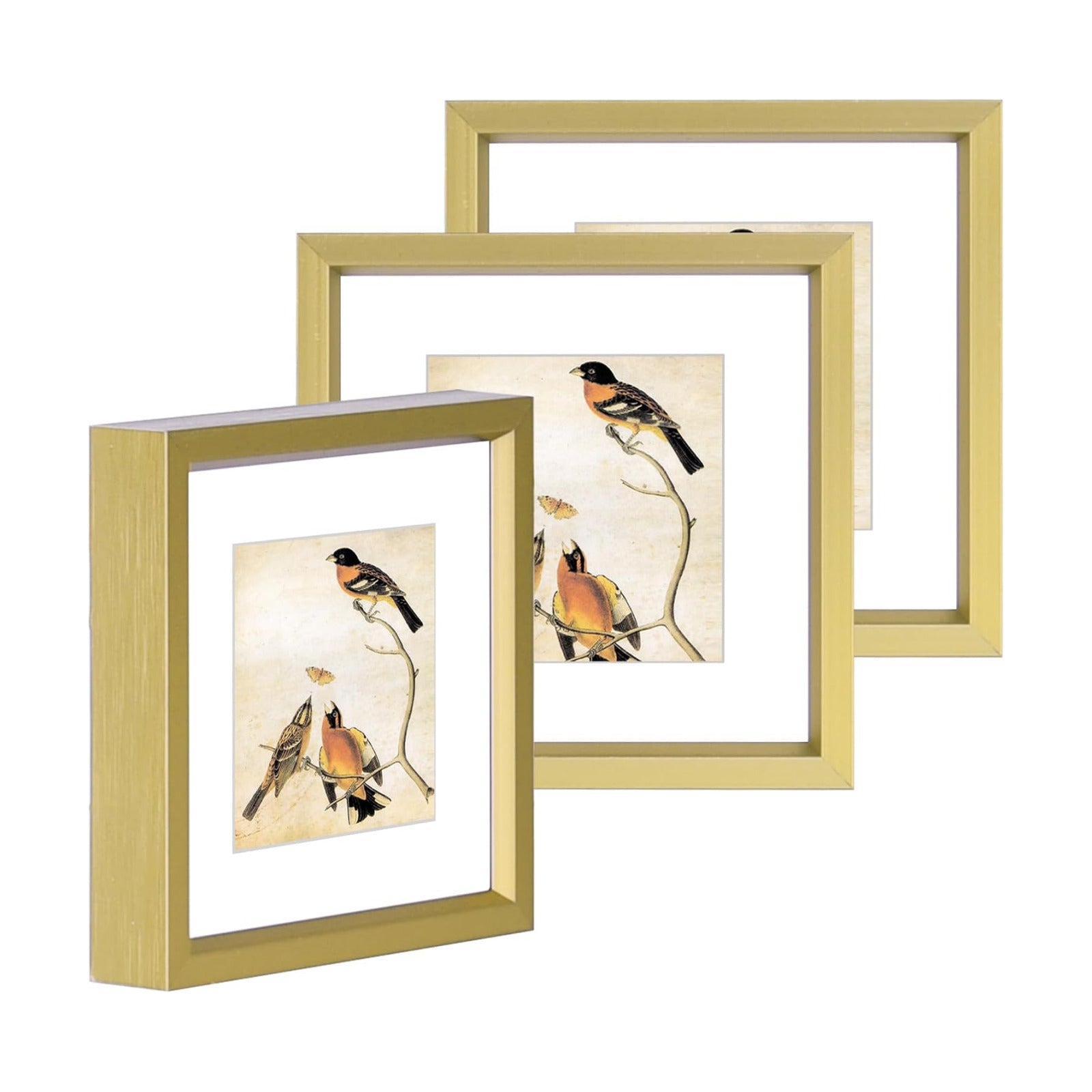 BKABOT 3x3 Brass Metal Photo frames 3 Pack HD Glass Mat 2x2 Wall Table | Brushed aluminum Picture frames,removable
