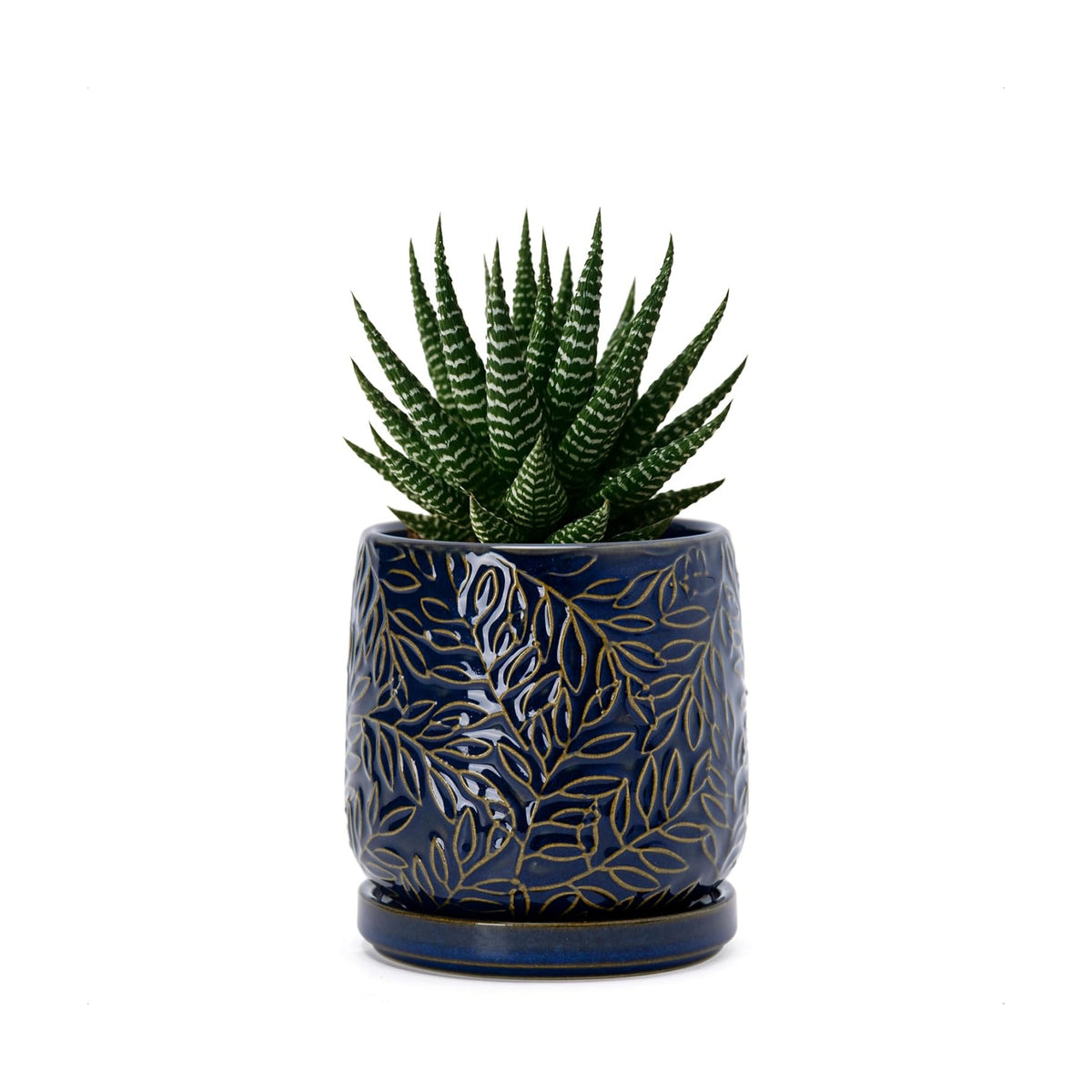 D'vine Dev Embossed Leaves Ceramic Planter, 4 in, Midnight Blue, 27-A-Z-3