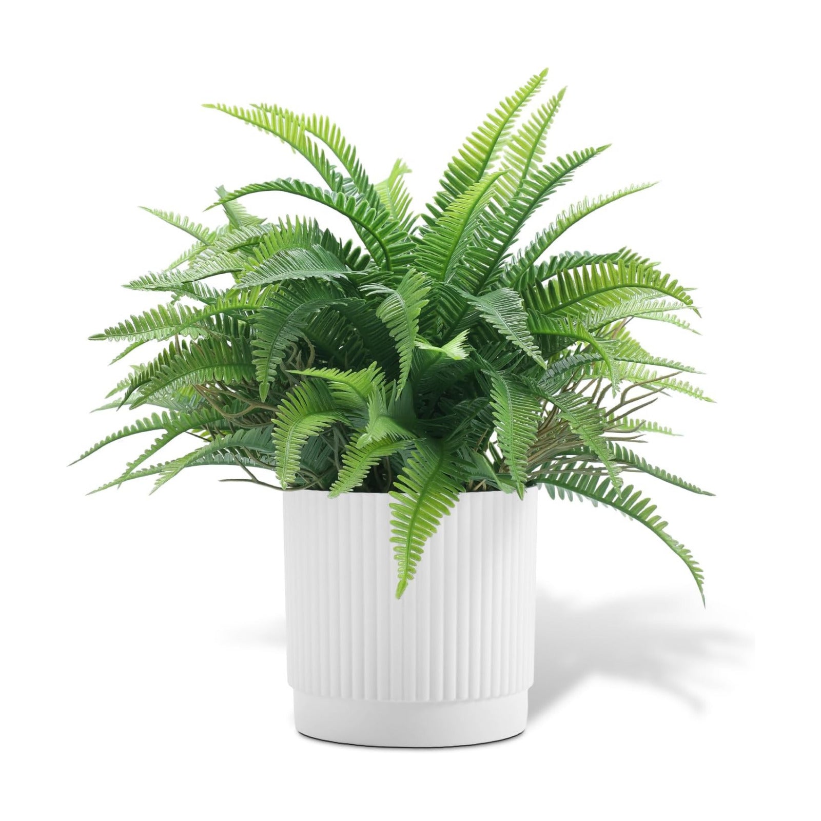 Small Fake Plant Fern Potted Artificial Plants / Green