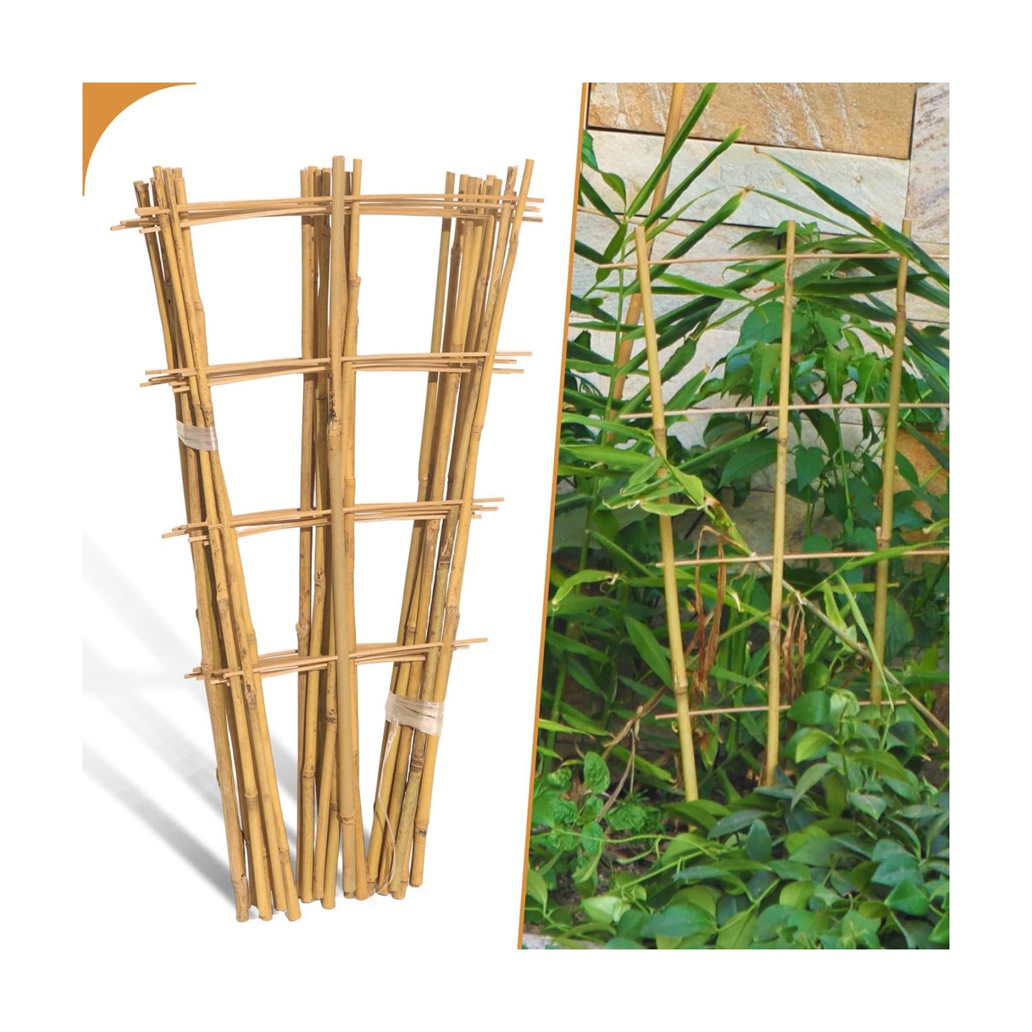 10 Pack 2ft Bamboo Trellis for Climbing Plants, Fan-Shaped Garden Support