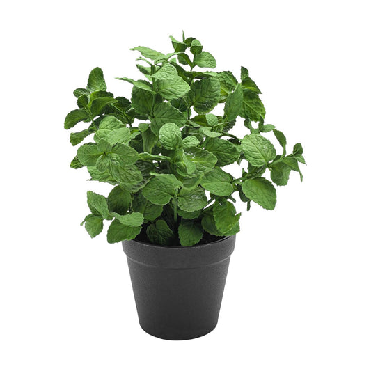 Small Fake Plants Artificial Potted Plants / Mint