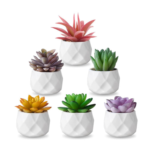 Fake Succulent Plant Set Artificial Succulent Plants for Desk Realistic Faux / Mix / Set of 6