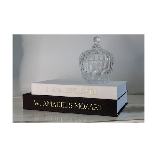 Decorative Books / Bookshelf / Black and White / Set of 2