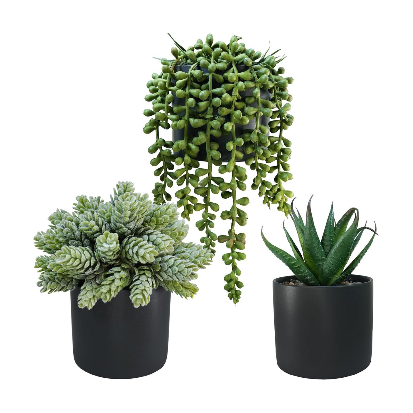 Small Artificial Potted Succulent Plants Faux Aloe Hops String / Black Ceramic Pots / Set of 3