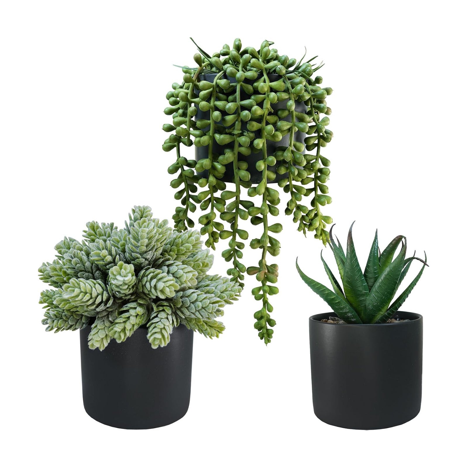 Small Artificial Potted Succulent Plants Faux Aloe Hops String / Black Ceramic Pots / Set of 3