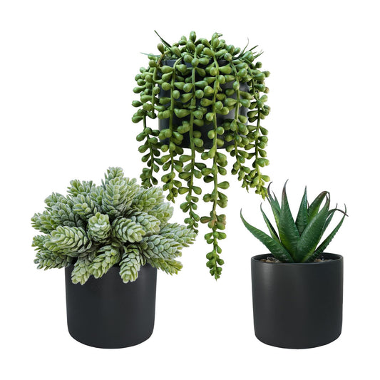 Small Artificial Potted Succulent Plants Faux Aloe Hops String / Black Ceramic Pots / Set of 3
