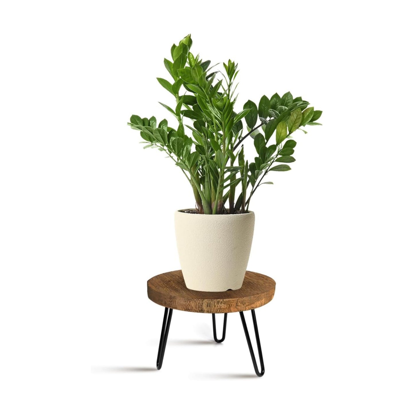 OBTAIN Plant Stand Indoor Outdoor Wood Mid Century Plant Stand for Indoor Plants, Modern Plant Table Round Plant Stool