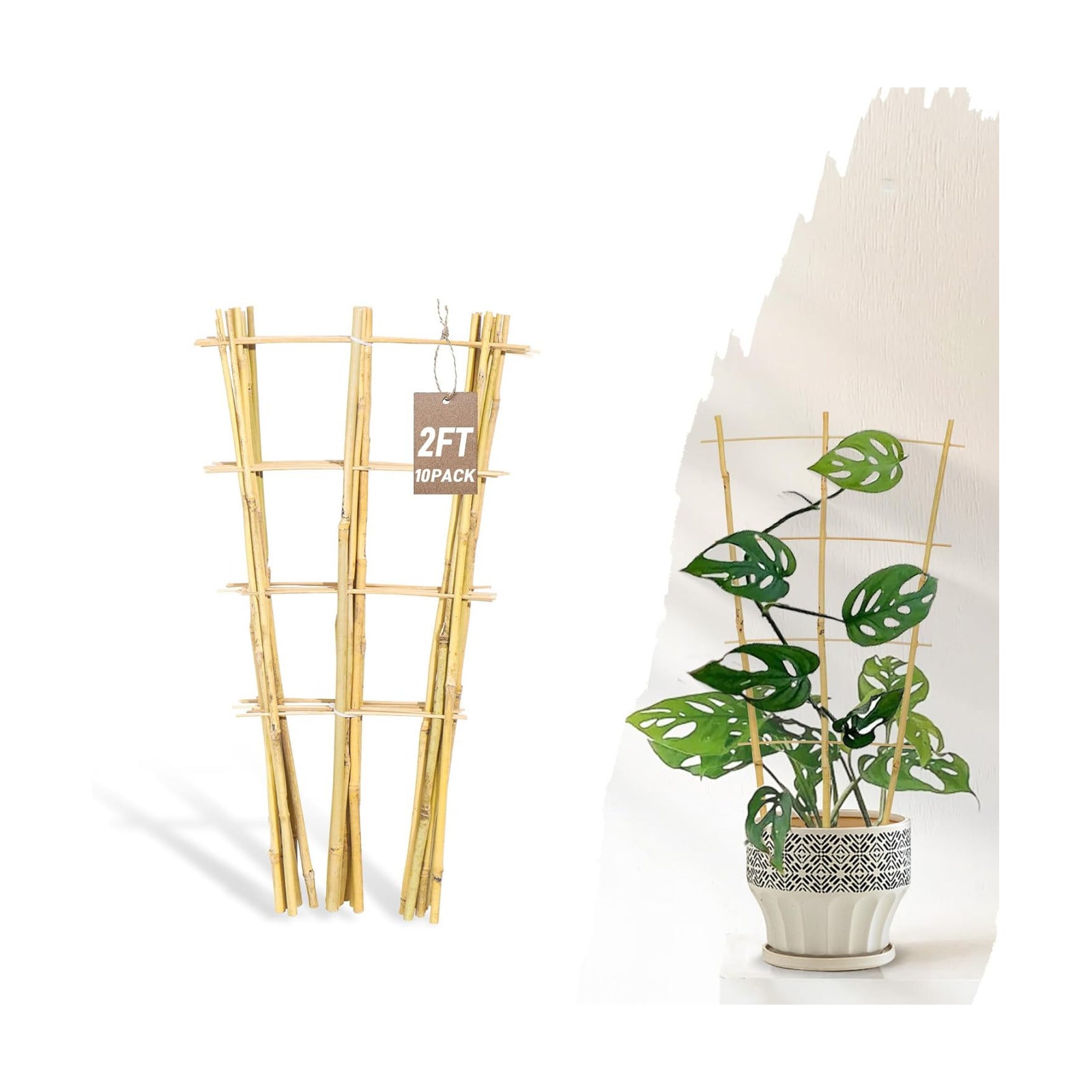 Avalution 10 Pack Bamboo Trellis for Climbing Plants, 2 FT Garden Ladder Trellis for Potted Plants Indoor, Fan-Shaped