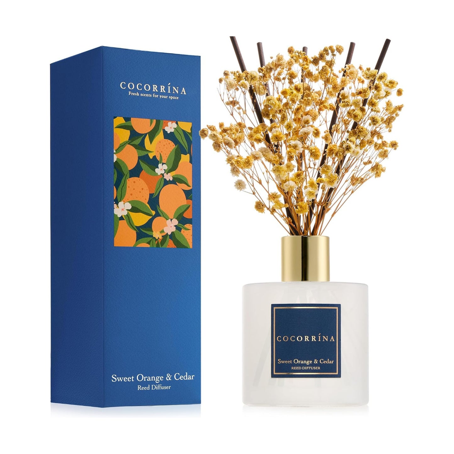 COCORRÍNA Reed Diffuser - Sweet Orange & Cedar 6.7 Fl.oz Reed Diffuser Set with Sticks & Preserved Baby's Breath, Reed