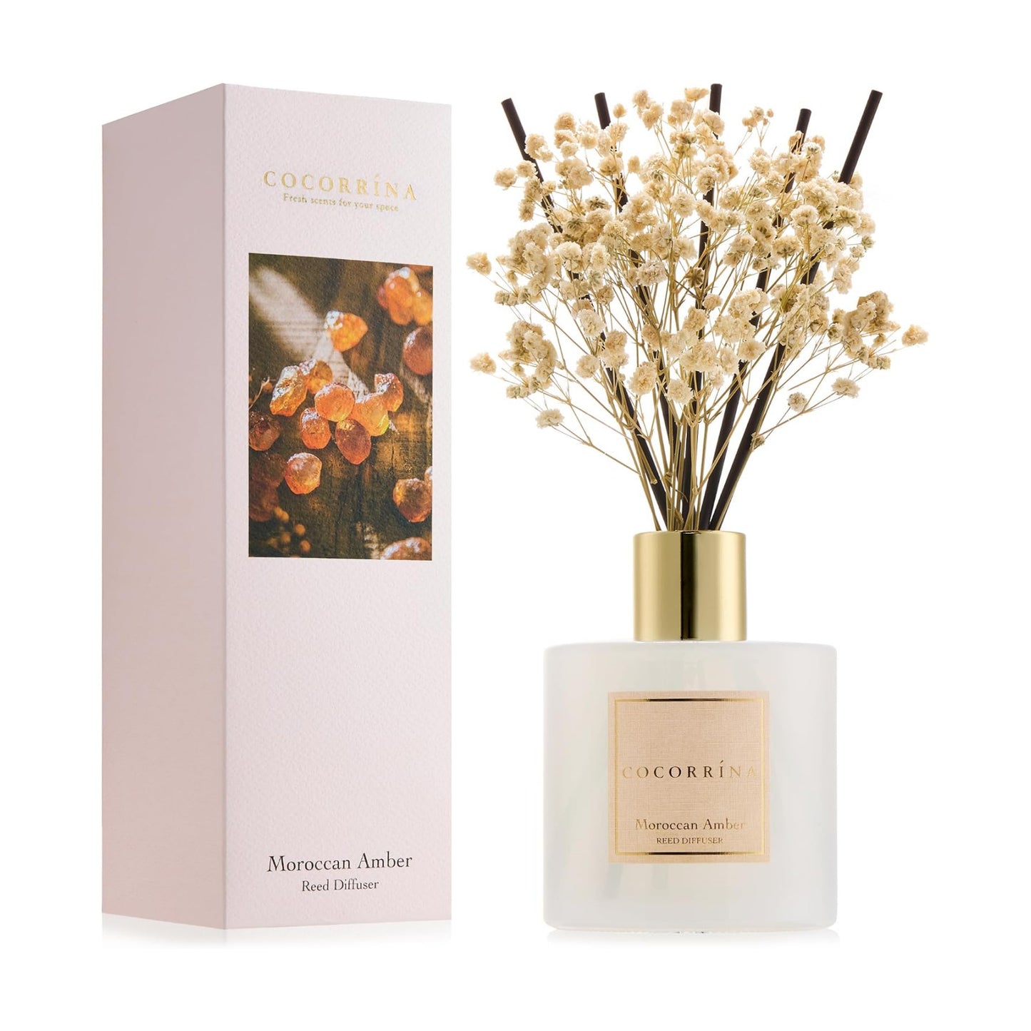 COCORRÍNA Reed Diffuser - Moroccan Amber 6.7 Fl.oz Reed Diffuser Set with Sticks & Preserved Baby's Breath, Reed