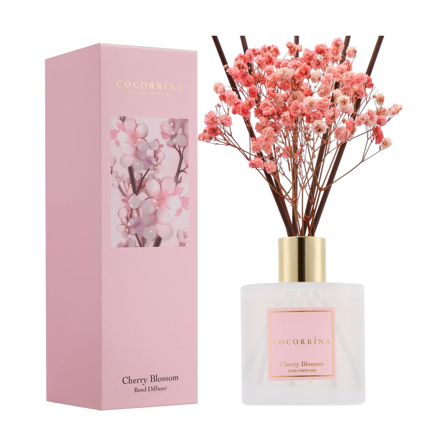 COCORRÍNA Reed Diffuser - Cherry Blossom 6.7 Fl.oz Reed Diffuser Set with Sticks & Preserved Baby's Breath, Reed