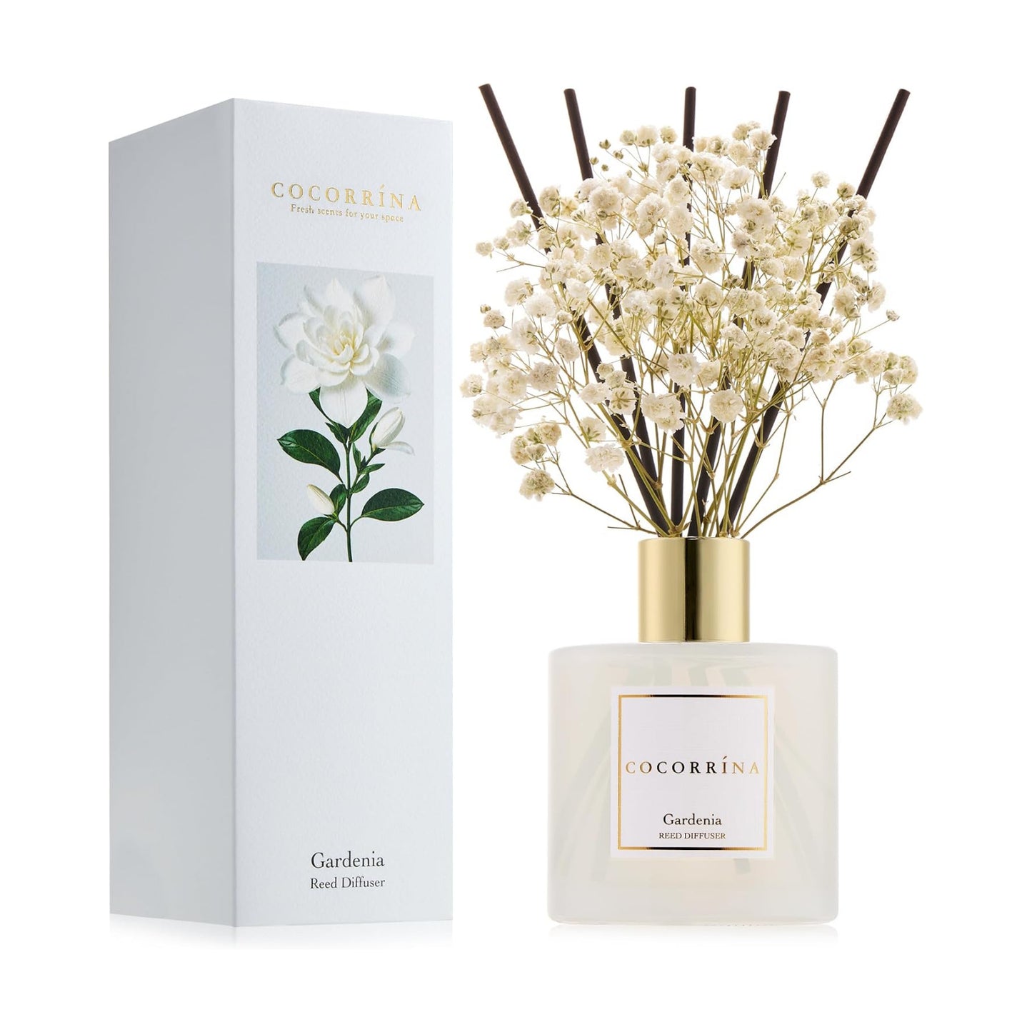 COCORRÍNA Reed Diffuser - Gardenia 6.7 Fl.oz Reed Diffuser Set with Sticks & Preserved Baby's Breath, Reed Diffuser for