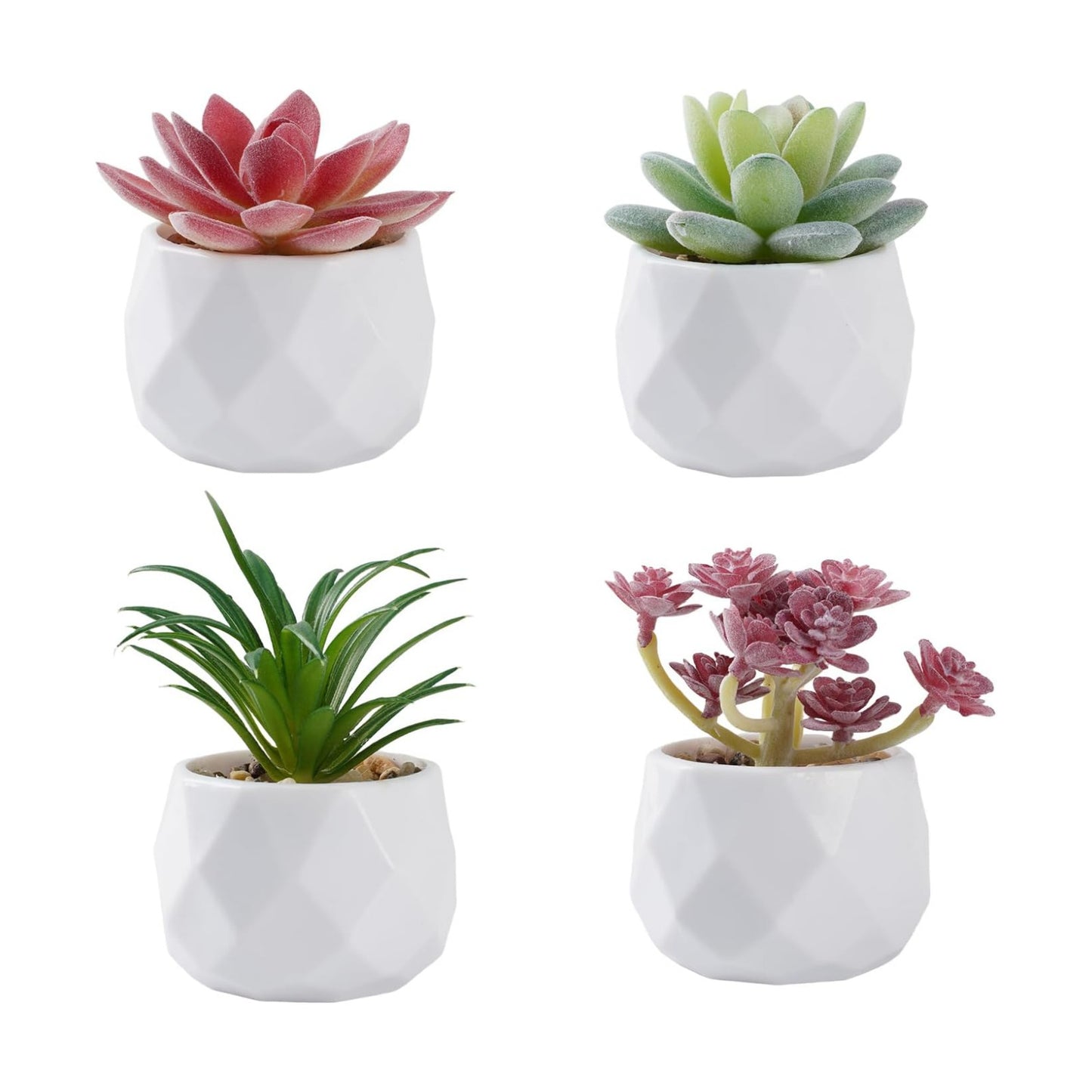 Succulents Plants Artificial in Plastic Pots / White / Set of 4
