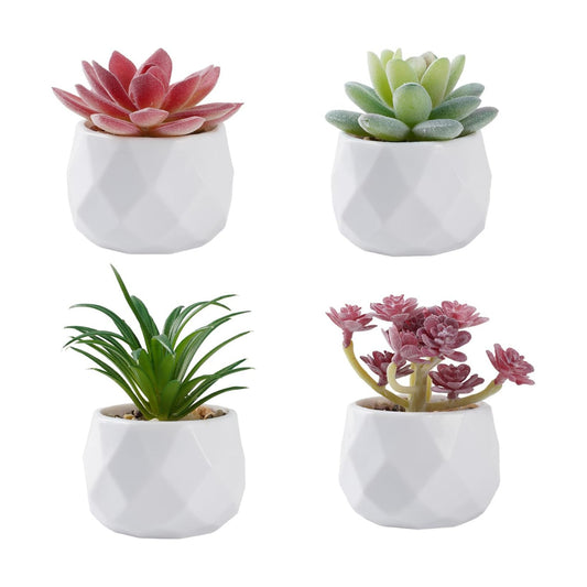 Succulents Plants Artificial in Plastic Pots / White / Set of 4