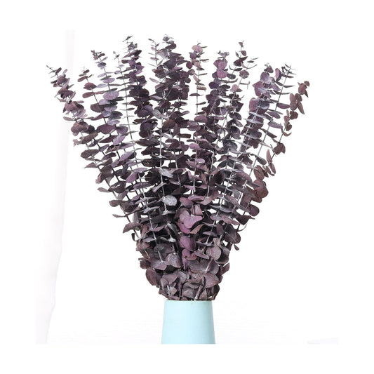 17'' Natural Real Live Eucalyptus Leaves Branches Hanging Shower / Purple / Set of 20