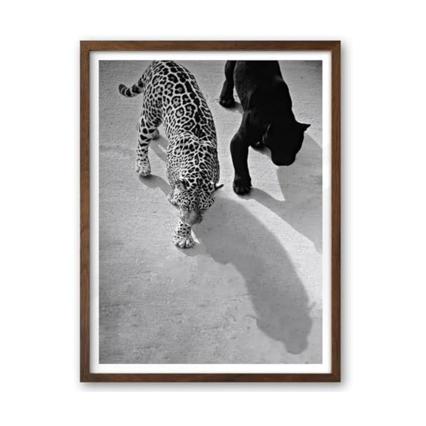 EcoHest 12x16 in Cheetah and Jaguar Walking Framed Wall Art